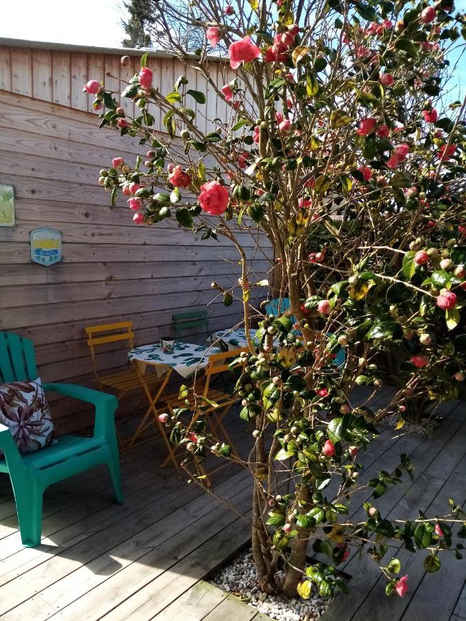 O Douceurs Sucrees Cabourg住宿加早餐旅馆 外观 照片